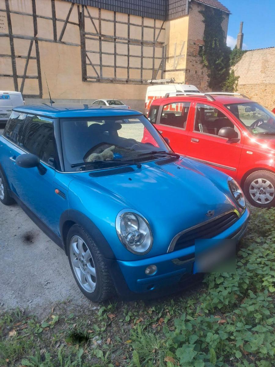 MINI One D