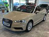 Audi A3 Cabriolet 1.4TFSI*exclusive*Xenon*PDC*SH*Temp - : Beige, Cabrio