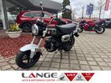 Honda Dax ST125 ST125AS ED DAX125 - Angebote
