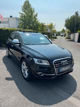 Audi SQ5 2015 Kamera Panorama Dach - Audi SQ5 in Düsseldorf