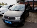 Fiat Panda 1.1 8V Active Allwetterreifen Klima TÜV ne - gebrauchte Fiat Panda aus dem Jahr 2010