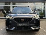 Cupra Formentor 1.5 TSI,R-Kamera,Elk-Heck,CarPlay,ACC - Cupra Formentor Gebrauchtwagen