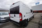 Chausson V594 First Line Fiat - Markise - Offers matching your search criteria
