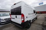 Chausson V594 First Line Fiat - Offers matching your search criteria