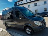 Mercedes-Benz Mercedes Sprinter 313 CDI Euro 5 Mixto 5 S... - Mercedes-Benz Sprinter aus 2009: 313 Cdi