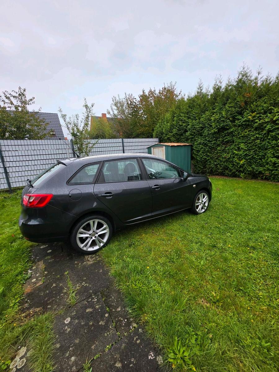 Seat Ibiza 2011 — rear view