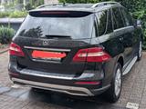 Mercedes-Benz ML 350 BlueTEC 4MATIC - - Mercedes-Benz ML 350 in Wuppertal