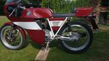 MV Agusta 125 Sport SE - MV AGUSTA 125