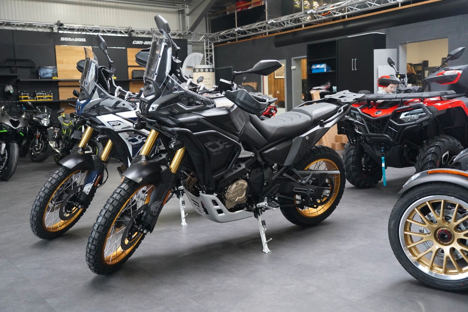 Fahrzeugabbildung VOGE DS 800 X Rally Beide Farben auf Lager