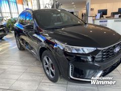 Foto Nummer 5: FORD Kuga