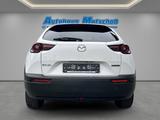 Mazda MX-30 Advantage e-SKY. HUD Navi Memory Sitze LED - Mazda MX-30 aus 2022