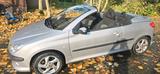 Peugeot 206 CC Platinum 110 Platinium - Peugeot 206: Platinium