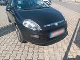 Fiat fiat punto neu TÜV - Fiat Punto in Mainz