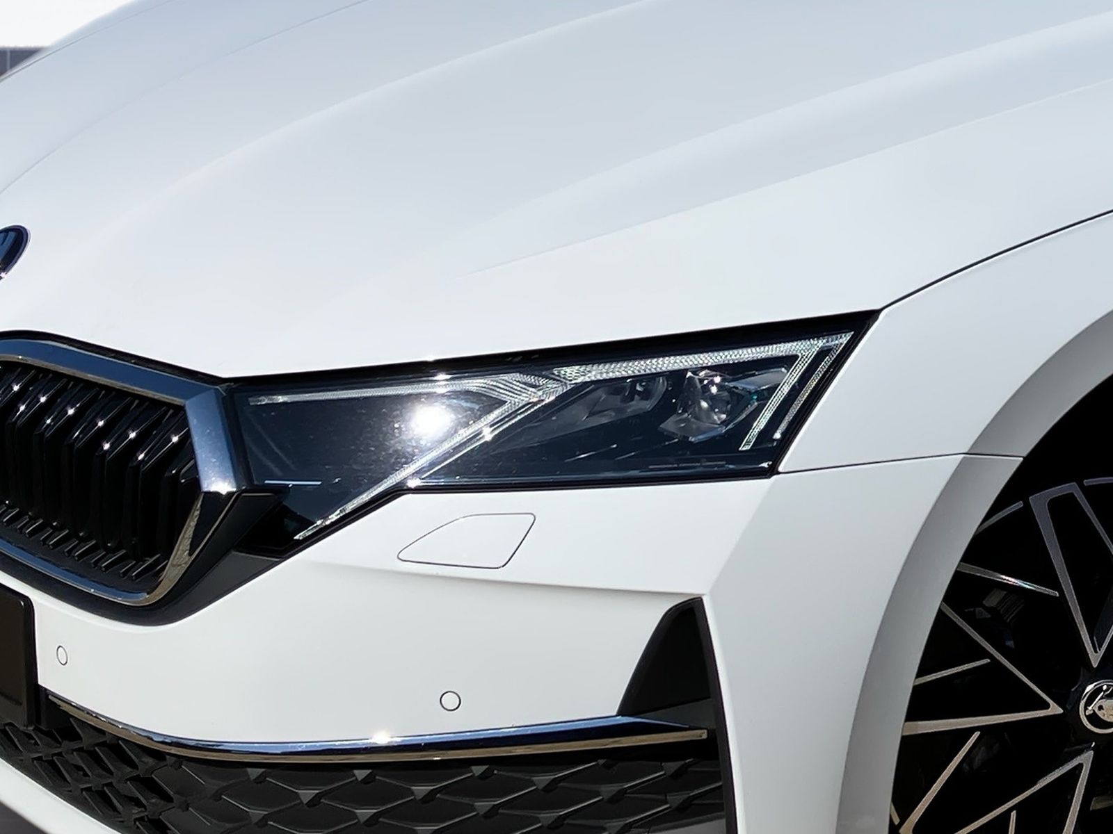 Skoda Octavia - Bild 6