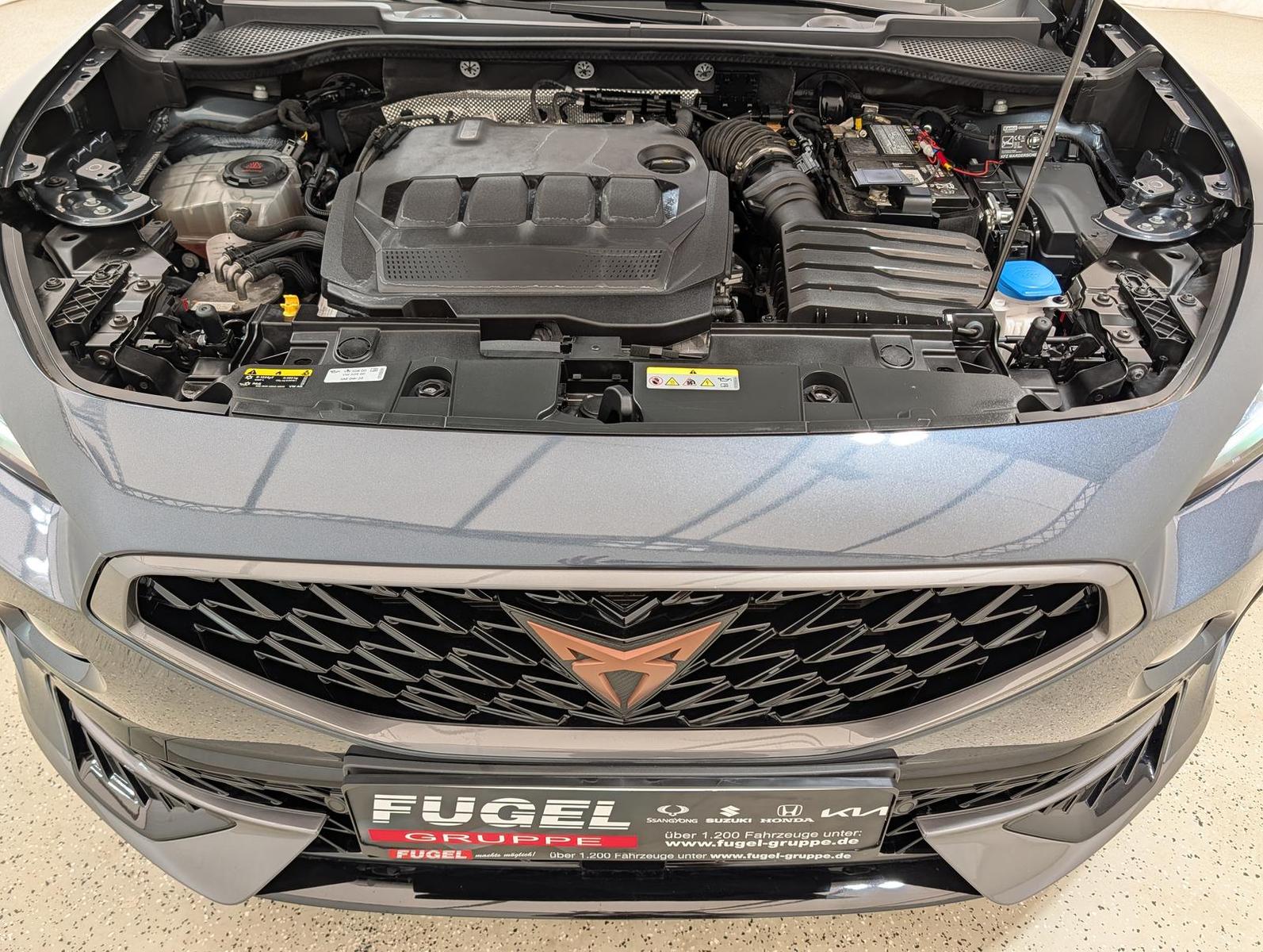 Cupra Formentor 2.0 TDI DSG 4Drive Winter|Navi|ACC|LED