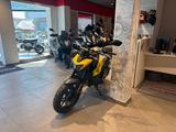Honda CB750 Hornet 2026 Goldfish Yellow *sofort verfüg - HONDA NAKED BIKE