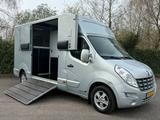 Renault Master Anemone Pferdewagen Horsetruck Pferde - gebrauchte Renault Master aus dem Jahr 2011