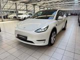 Tesla Model Y Dual AWD MAX Reichweite|ACC|360° - Tesla Model Y Gebrauchtwagen in Berlin