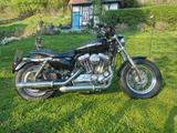 Harley-Davidson Sportster XL1200 C - MOTORRAD SPORT