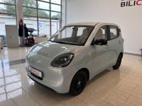 Andere Hudson bei Bilicar