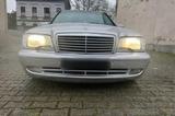 Mercedes-Benz Mercedes C43 AMG W202 Designo 1.HD Leder A... - gebrauchte Mercedes-Benz C 43 AMG aus dem Jahr 1999
