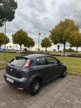 Fiat Punto Evo - Fiat Punto Evo in Frankfurt (Main)