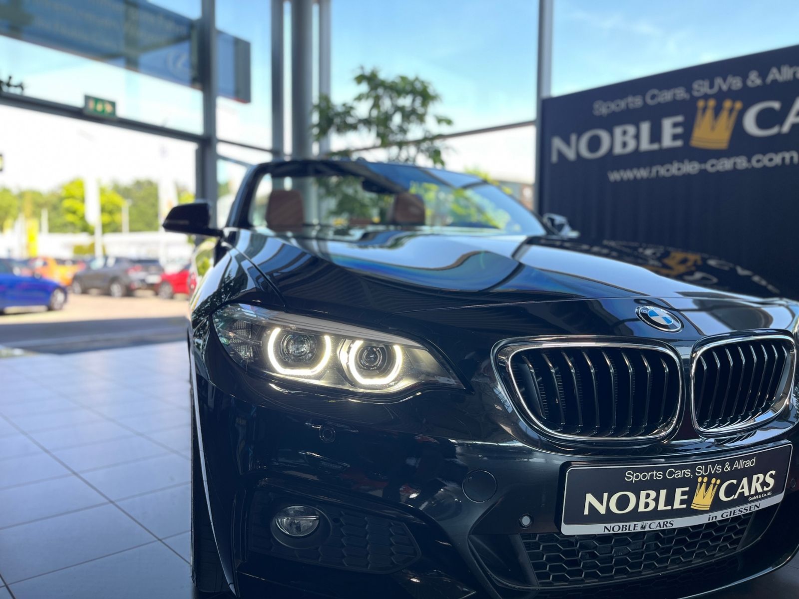 Fahrzeugabbildung BMW 220i Cabrio M Sport Shadow LED NAV RFK SHZ 18"