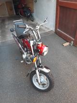 Honda Dax AB 23 - Angebote entsprechen deinen Suchkriterien