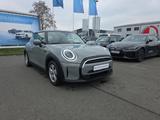 MINI Cooper Hatch DAB LED Tempomat Klimaaut. PDC - MINI Cooper in Erfurt
