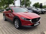 Mazda CX-30 G 2.0 150PS Selection Matrix-LED Bose 360° - Mazda CX-30 Selection mit Hybrid-Antrieb (Benzin/Elektro)