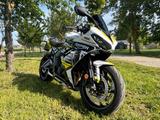 Triumph Daytona 660, Top Zustand. Sehr viel Zubehör - TRIUMPH DAYTONA