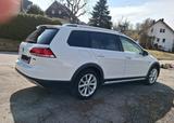 Volkswagen Golf 2.0 TDI 135kW SCR DSG 4MOTION Alltrack ... - Volkswagen Golf mit Diesel-Antrieb: 1.4