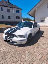 Ford Mustang Shelby GT500 - Ford Mustang aus 2007: Coupe