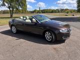 Audi A5 2.0 TDI Cabrio in traumhafter Farbkombi - Audi A5: Braun, Cabrio