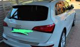 Audi SQ 5  Geländewagen - : Gelände