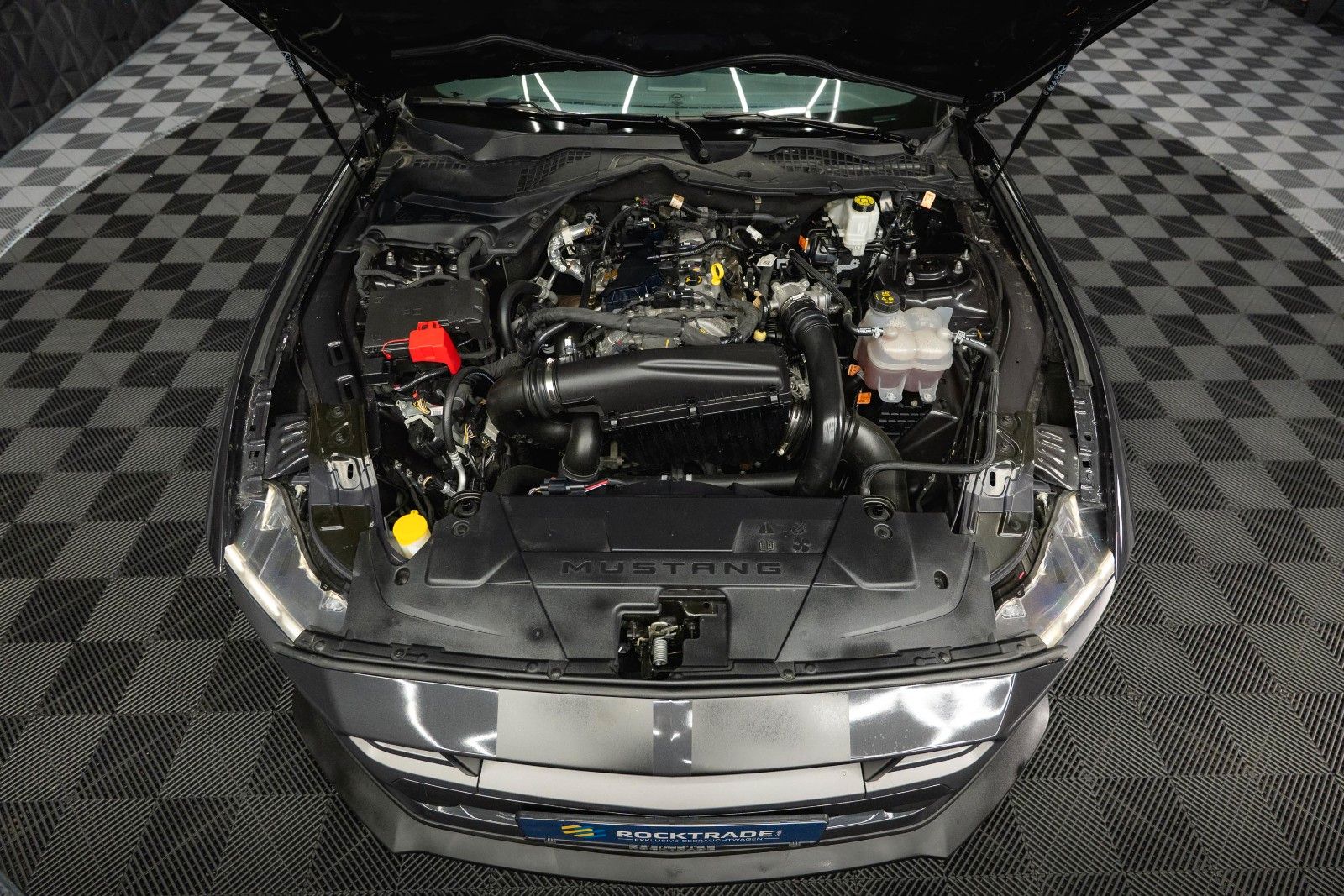 Fahrzeugabbildung Ford Mustang GT Coupe DARK HORSE PREMIUM MY2024 19%