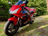 Honda CBR 900 RR Fireblade SC50  - HONDA FIREBLADE SC50