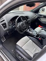 Audi SQ5 3.0 TDI comp. tiptr. quattro - - Audi SQ5 von privat
