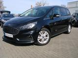 Ford Galaxy 2.0EcoBlue Titanium 7-Sitzer ACC Panorama - Ford Galaxy: Schwarz