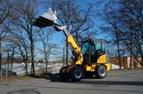 Andere Teleskop Radlader Hoflader mit Kubota Diesel - Gebraucht Hoflader