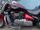 Suzuki VL 800 INTRUDER - SUZUKI V 800