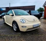 Volkswagen VW Beetle Cabriolet - Volkswagen Beetle aus 2004: Cabrio