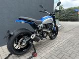 Ducati Scrambler Icon 800 Sparking Blue matt - DUCATI 800