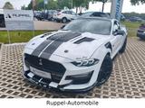 Ford Mustang V6 3,7L GT 500 SHELBY RECARO LED R-CAM - Ford Mustang: Shelby Gt500