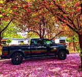 Andere Dodge RAM Laramie longhorn - Andere mit Benzin-Antrieb