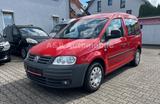 Volkswagen Caddy Life Gewinner Caddy - Volkswagen Caddy: Gewinner