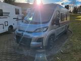 Roller Team Livingstone 5 GO MY26*AKTION*AUTARK*AUTOMATIK