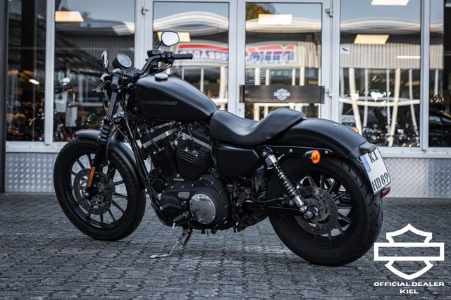 Fahrzeugabbildung Harley-Davidson XL883N SPORTSTER IRON - HEIZGRIFFE - Wartung neu