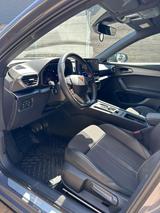 Cupra Formentor VZ 2.0 TSI 310 PS DSG 4x4 *BEATS*AHK* - Cupra Formentor 310 Gebrauchtwagen