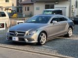 Mercedes-Benz CLS350 AMG BlueEFFICIENCY - Mercedes-Benz CLS 350: Coupe
